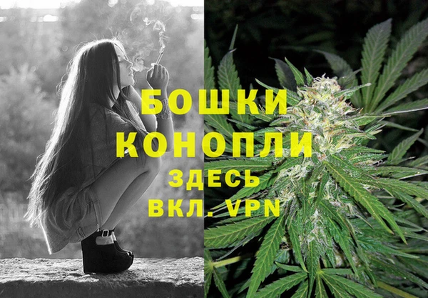 молекула духа Верхний Тагил