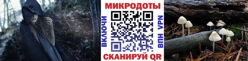 купить наркотики сайты Новохопёрск Псилоцибиновые грибы мухоморы